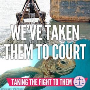 Reef fight goes legal