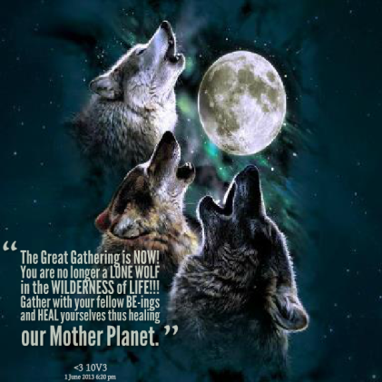 14608-the-great-gathering-is-now-you-are-no-longer-a-lone-wolf-in