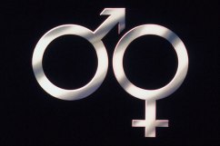 Male-Female-Symbol